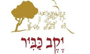 הורד – עותק (2) הורד – עותק (2)